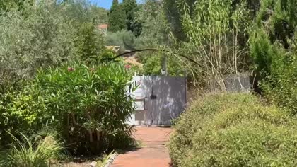 Jardin